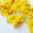 LEGO® Scharnierplatte quer 1x2 mit Finger  gelb