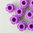LEGO® Blüte klein 1x1 flieder dunkel